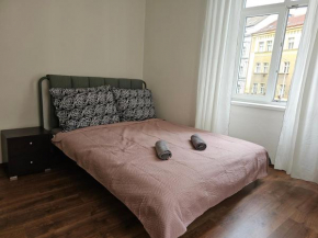 Apartments Žižkov 2c
